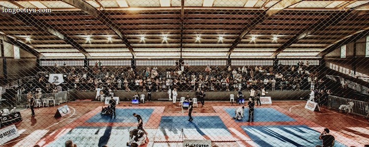A large indoor arena with a high ceiling, filled with an audience seated on bleachers. In the center, two fighters are engaged in a martial arts competition on blue and red mats. The scene is captured through a mesh fence, adding a textured foreground.